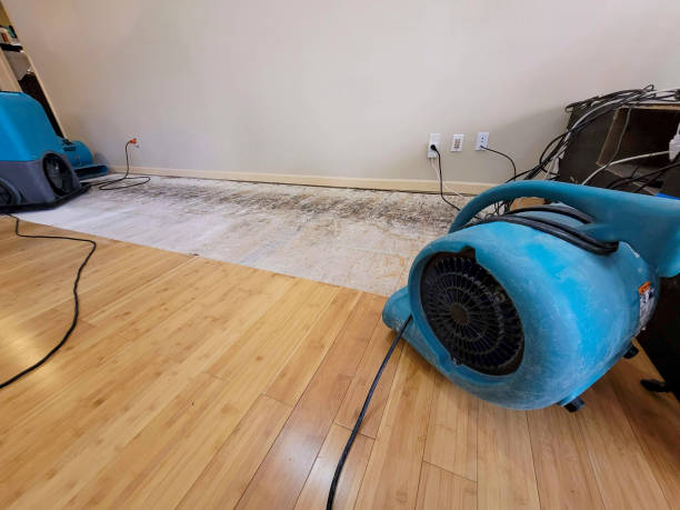 Reliable Basement Flood Cleanup contractor in Oxford, MA by Hirex Water Damage
