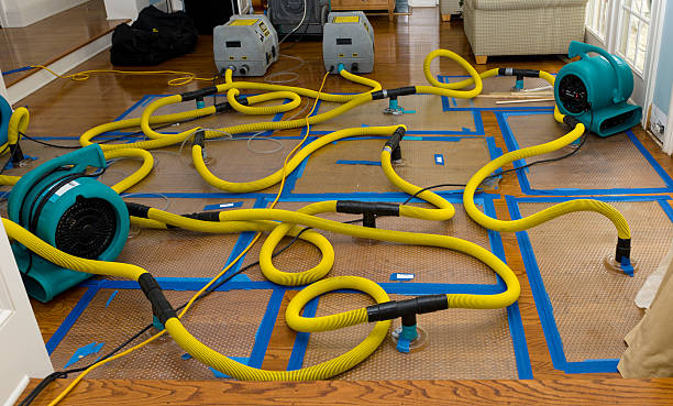 Professional Basement Flood Cleanup technician working in Oxford, MA